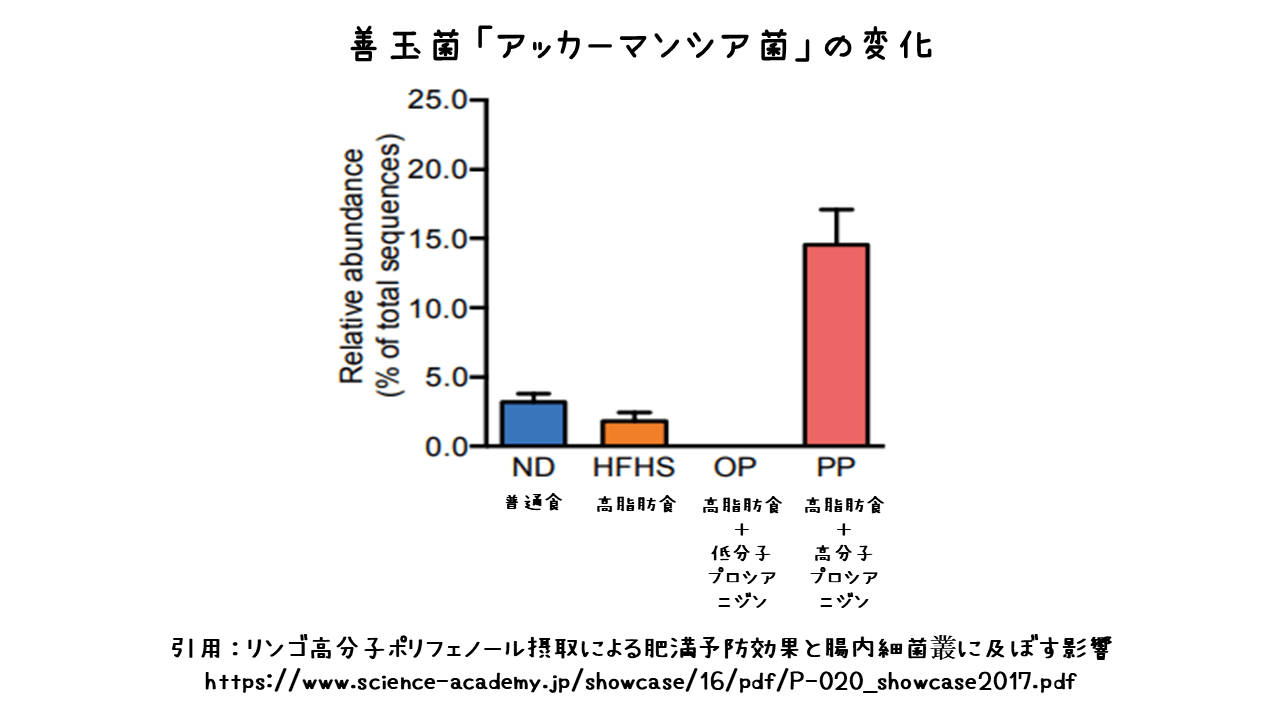 善玉菌アッカーマンシア菌の変化