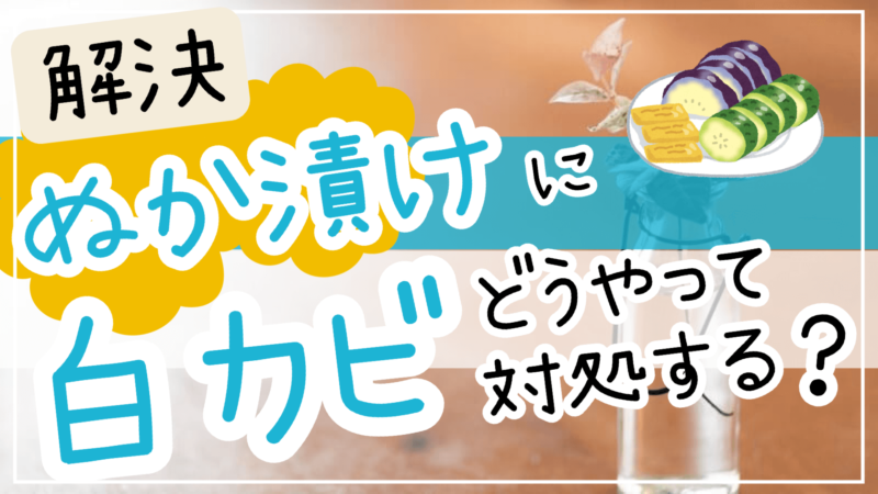 ぬか漬け白カビアルコール臭