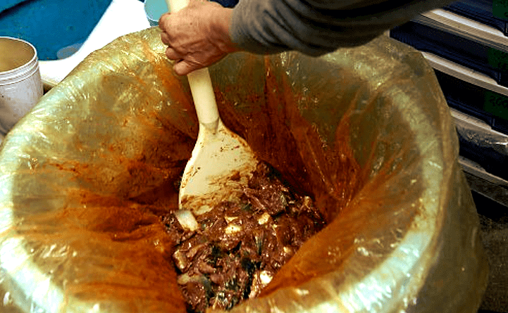 鯖の塩辛製造工程