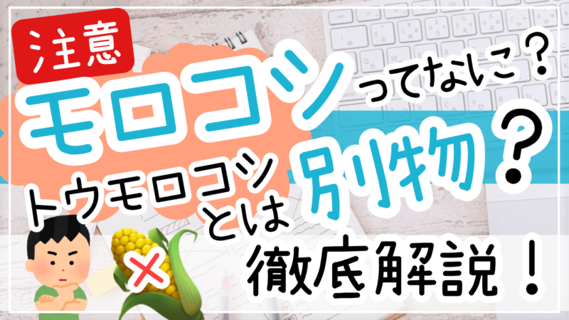 モロコシとは？トウモロコシとの違いを解説