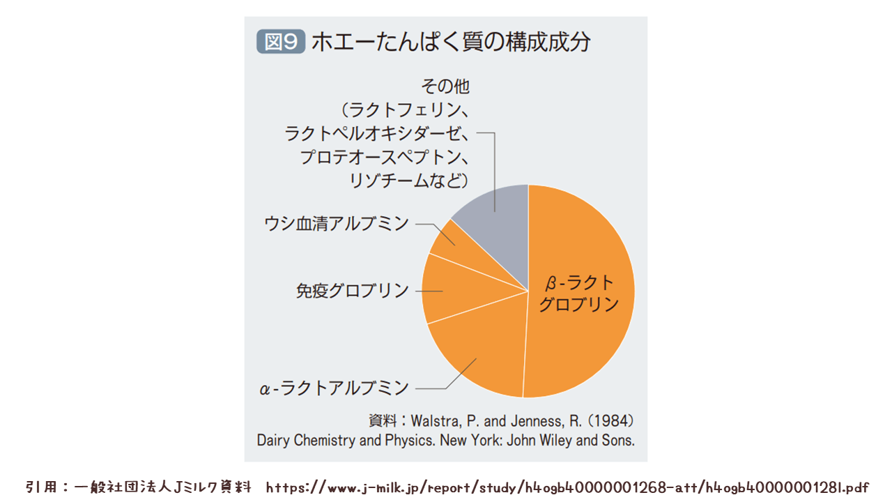 ホエータンパク質の構成成分