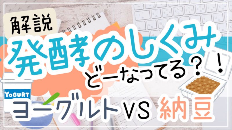 発酵の仕組みヨーグルト納豆