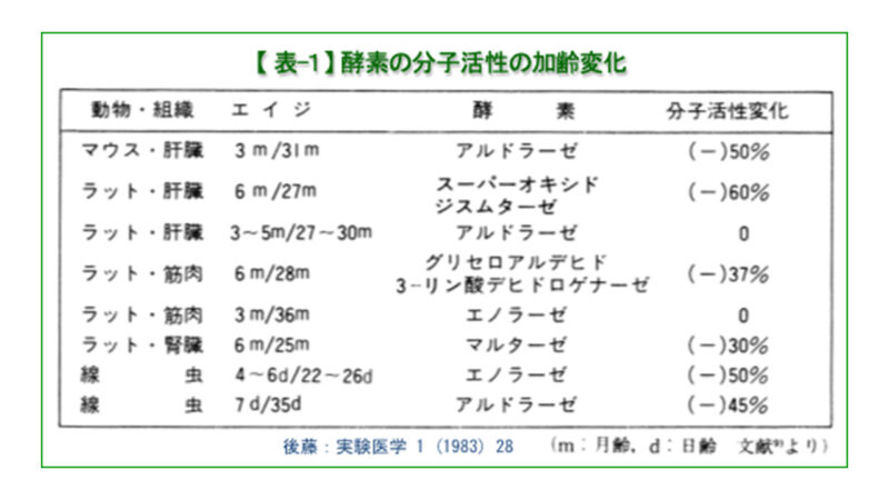 酵素の分子活性の加齢変化