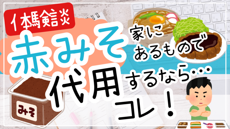 赤味噌の代用品はコレ味噌カツ味噌煮込みうどん